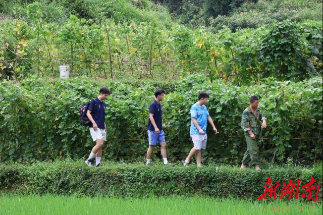 华体会平台“领梦者·弘帆”暑期社会实践团深耕渣坪乡，探寻“三农”解题之道