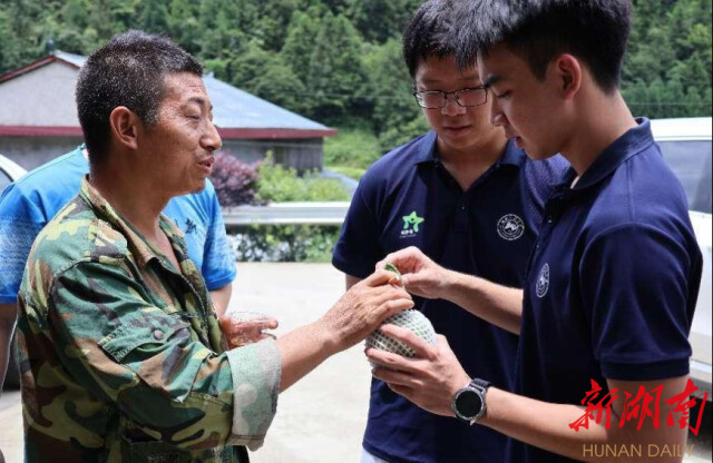 华体会平台“领梦者·弘帆”暑期社会实践团深耕渣坪乡，探寻“三农”解题之道